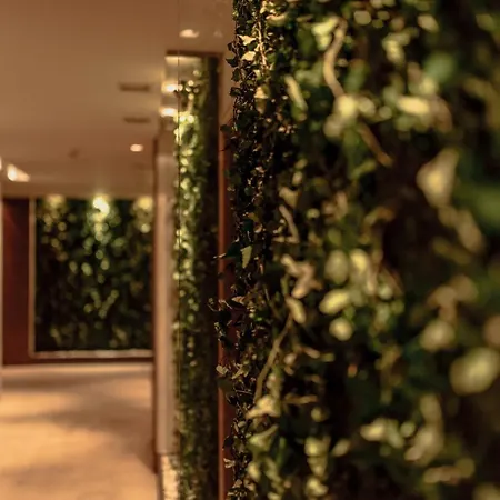 그래피티 갤러리 디자인 호텔 5*